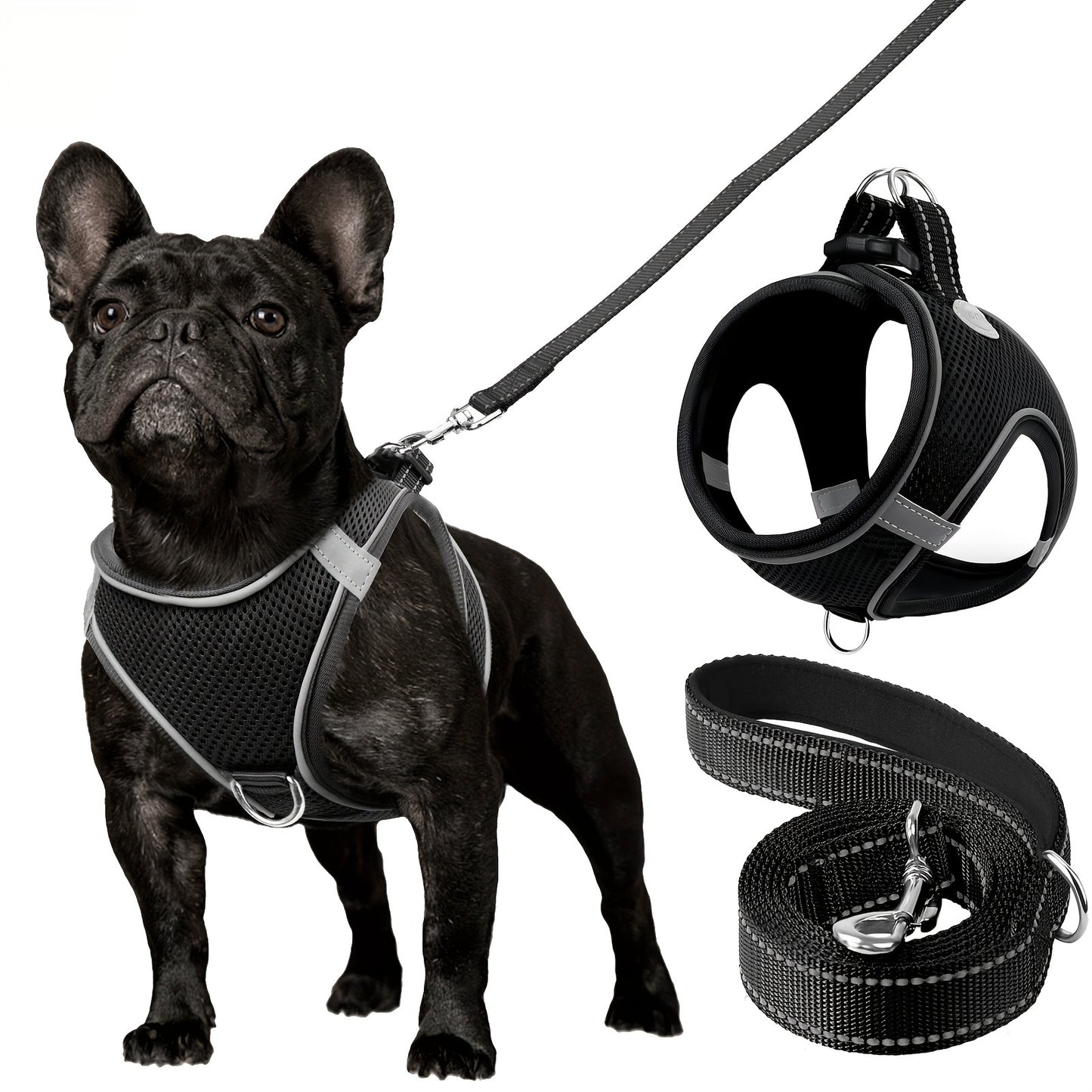 Laisse pour chien- Joytale Reflective Laisse- Harnais