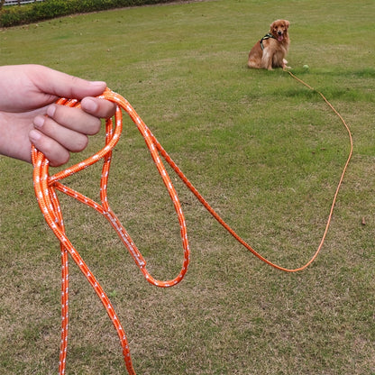 Longe pour chien- Reflective Long Polyamide