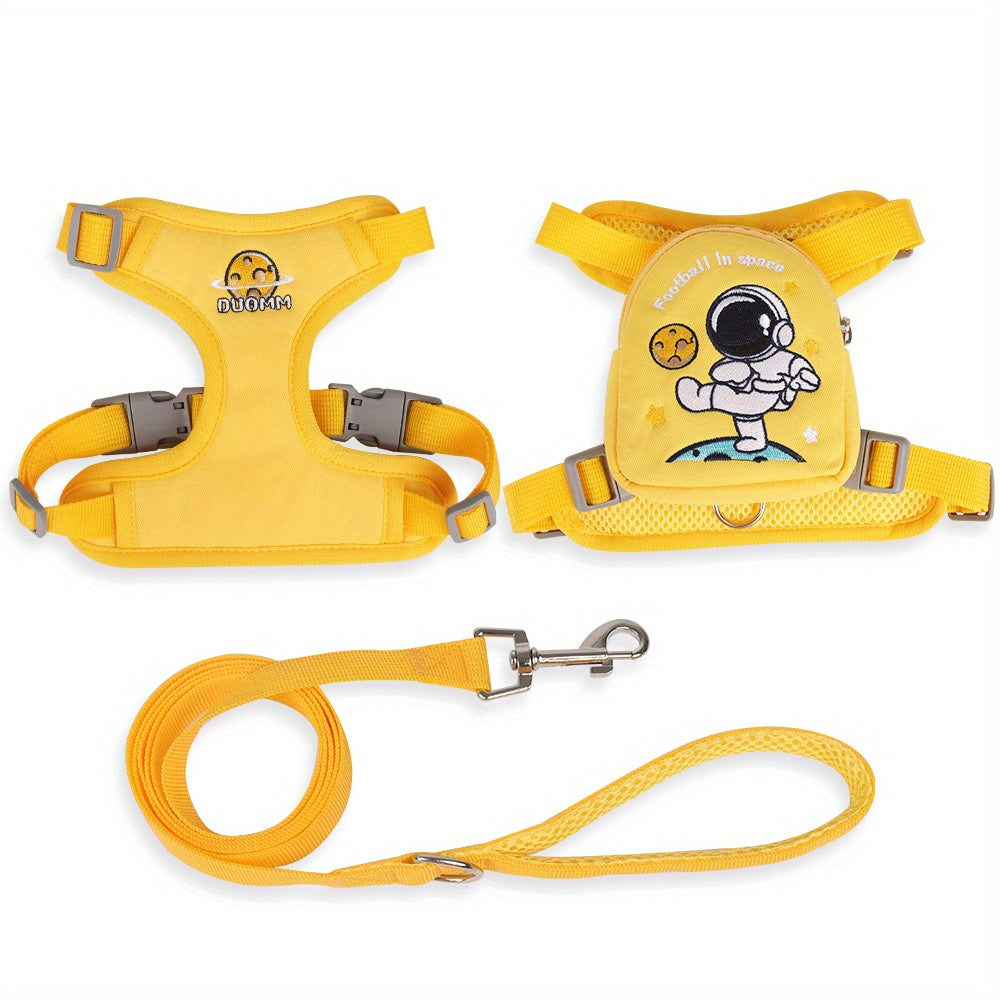 Laisse pour chien - Football in Space