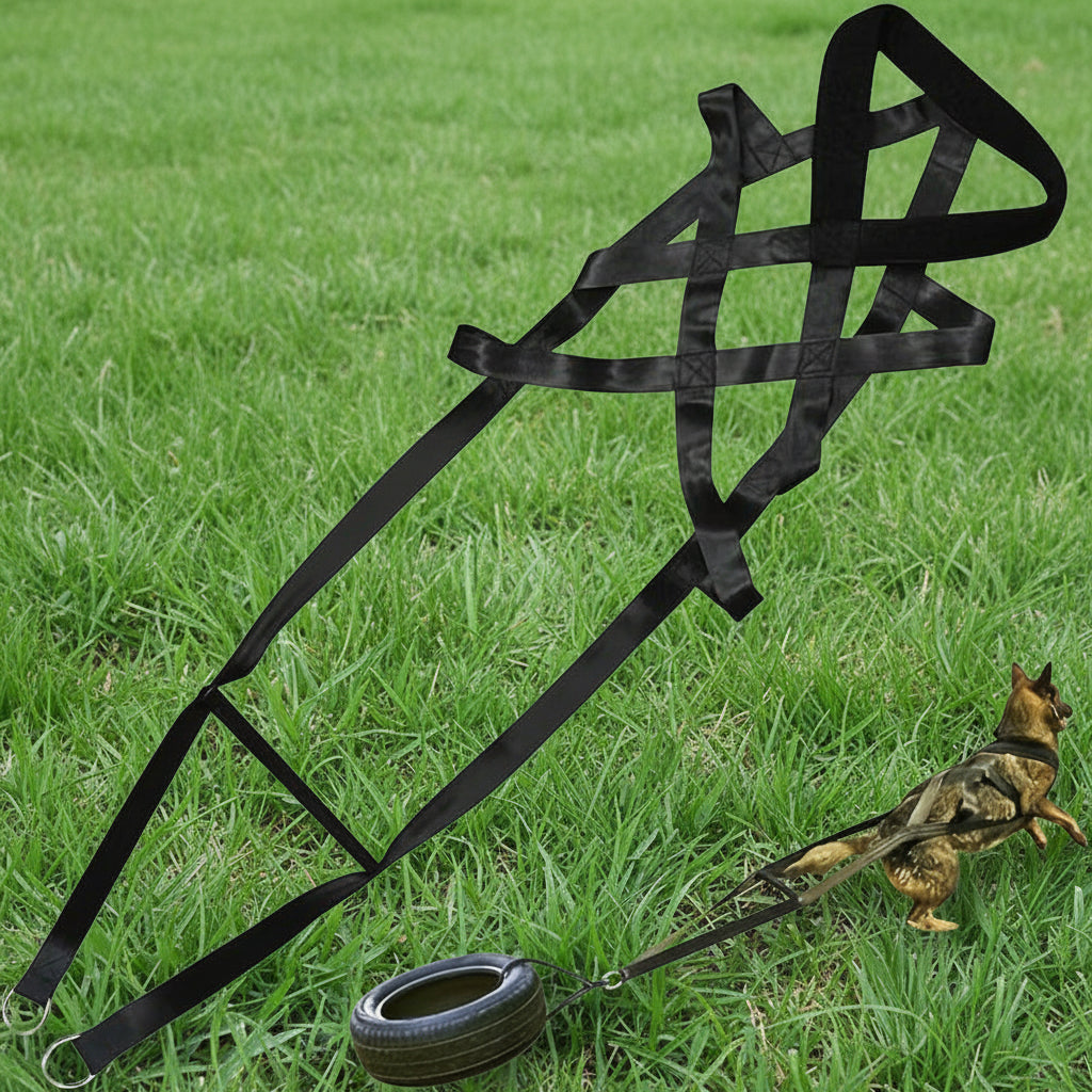 Harnais chien decathlon- Dog Traction Training