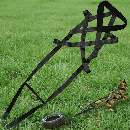 Harnais chien decathlon- Dog Traction Training