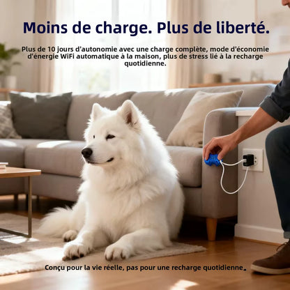 gps pour chien- Location anti perte