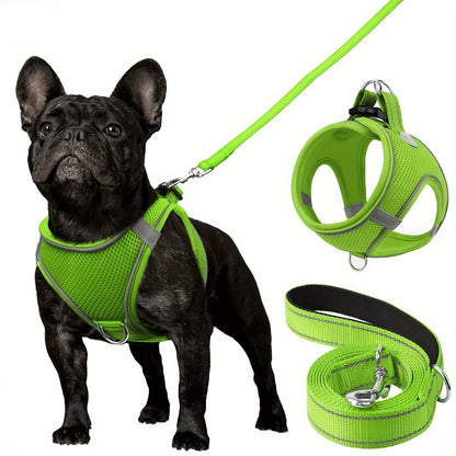 Laisse pour chien- Joytale Reflective Laisse- Harnais