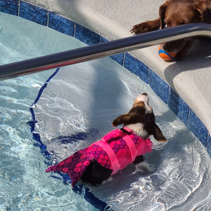 Gilet de sauvetage chien- Mermaid Pink Dog