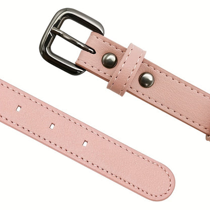 Collier cuir chien - Airtag Protective Tracker