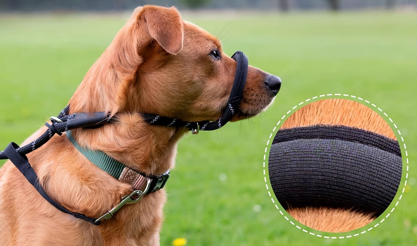 Muselière Anti-Traction | ComfortWalk