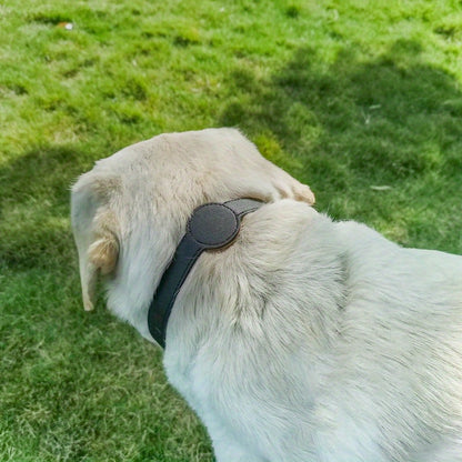 Collier cuir chien - Airtag Protective Tracker