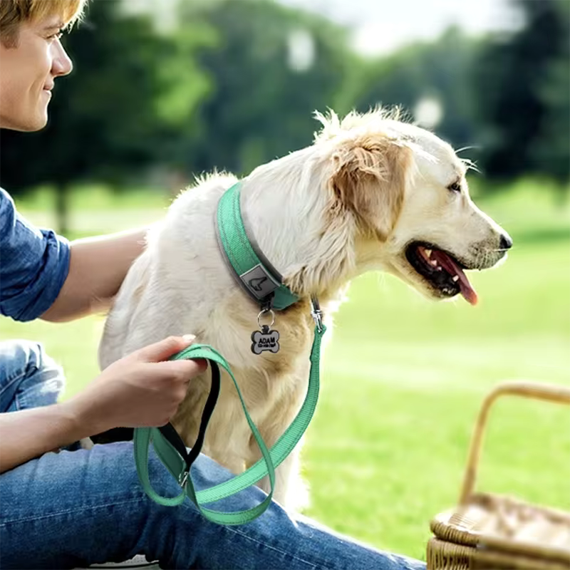 Collier pour chien-Réfléchissant Joytale