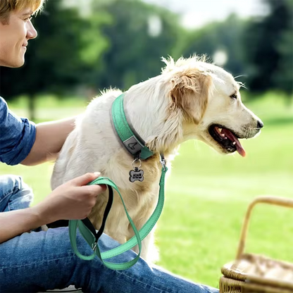 Collier pour chien-Réfléchissant Joytale