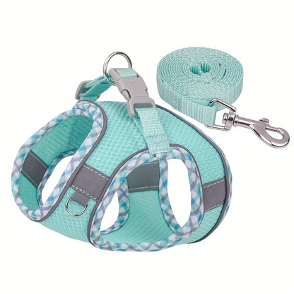 Harnais chien- Adventures Parfaites