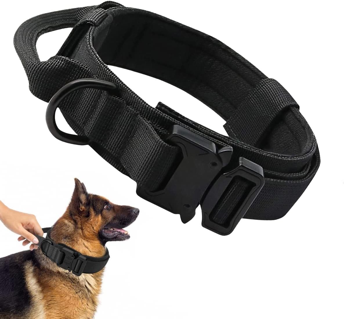 collier chien-tactique
