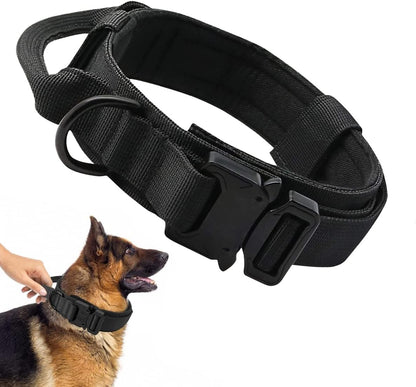collier chien-tactique