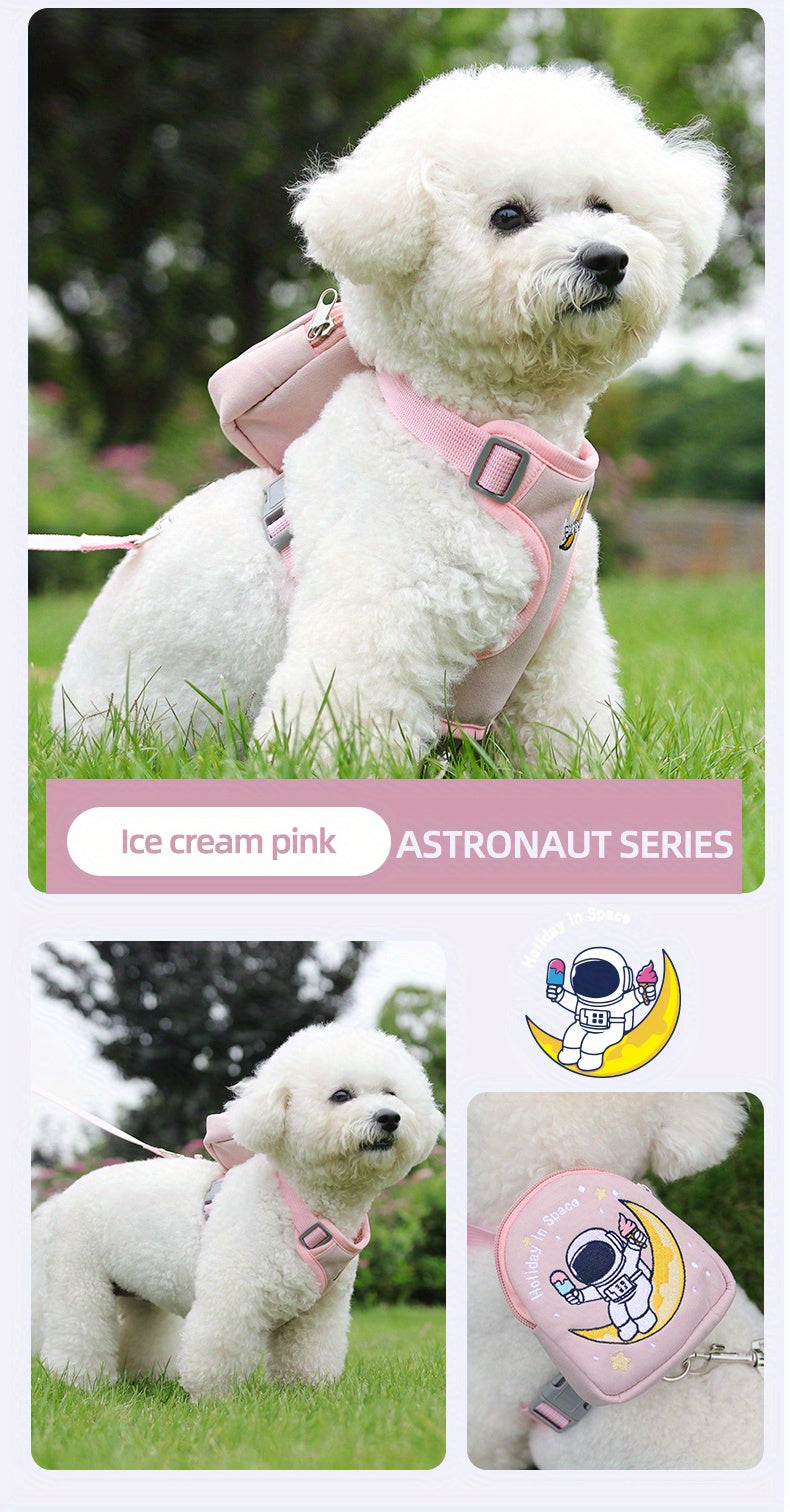 Laisse pour chien - Football in Space