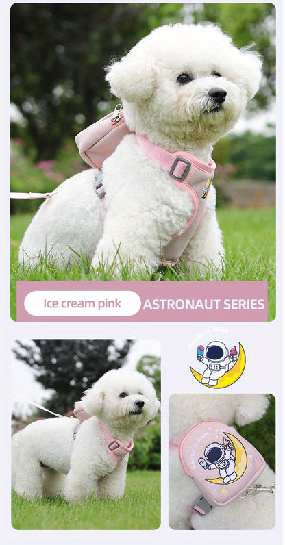 Laisse pour chien - Football in Space