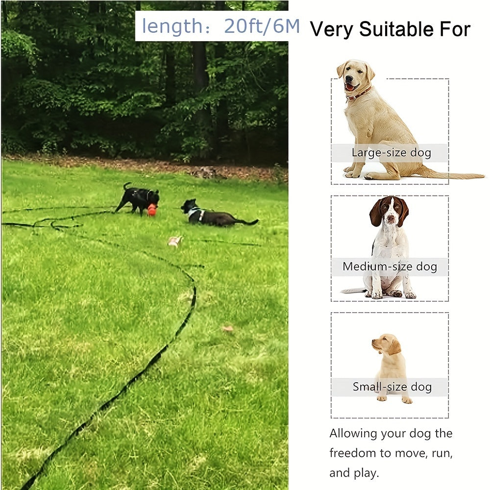 Longe chien- Classique 20 Feet Long Nylon
