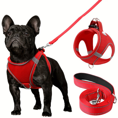 Laisse pour chien- Joytale Reflective Laisse- Harnais