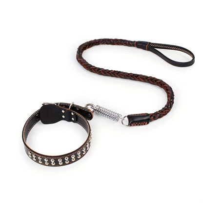 Laisse pour chien- Strong Cowhide Dog Leash and Collar