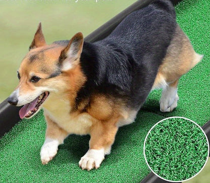 Escalier pour chien | BEULOKE Pliable