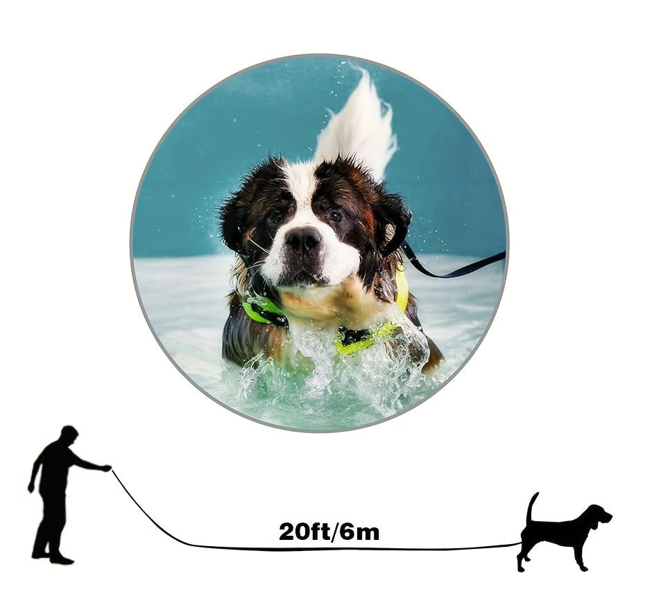 Longe chien- Classique 20 Feet Long Nylon