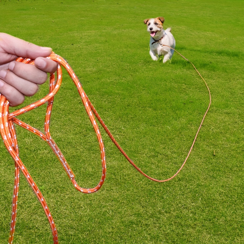 Longe pour chien- Reflective Long Polyamide