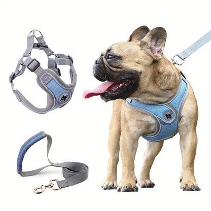 Laisse de chien- Bulldog Laisse- Harnais pour chien