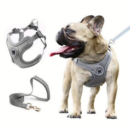Laisse de chien- Bulldog Laisse- Harnais pour chien