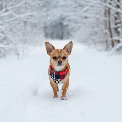 Collier chien- Plaid Leather Dog Collar Set with Bandana and Bowtie