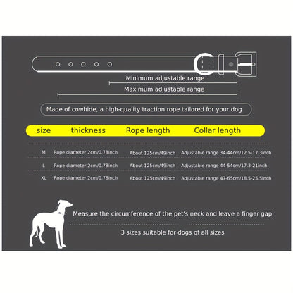 Laisse pour chien- Strong Cowhide Dog Leash and Collar