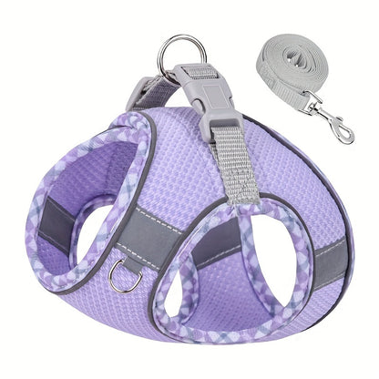 Harnais chien- Adventures Parfaites