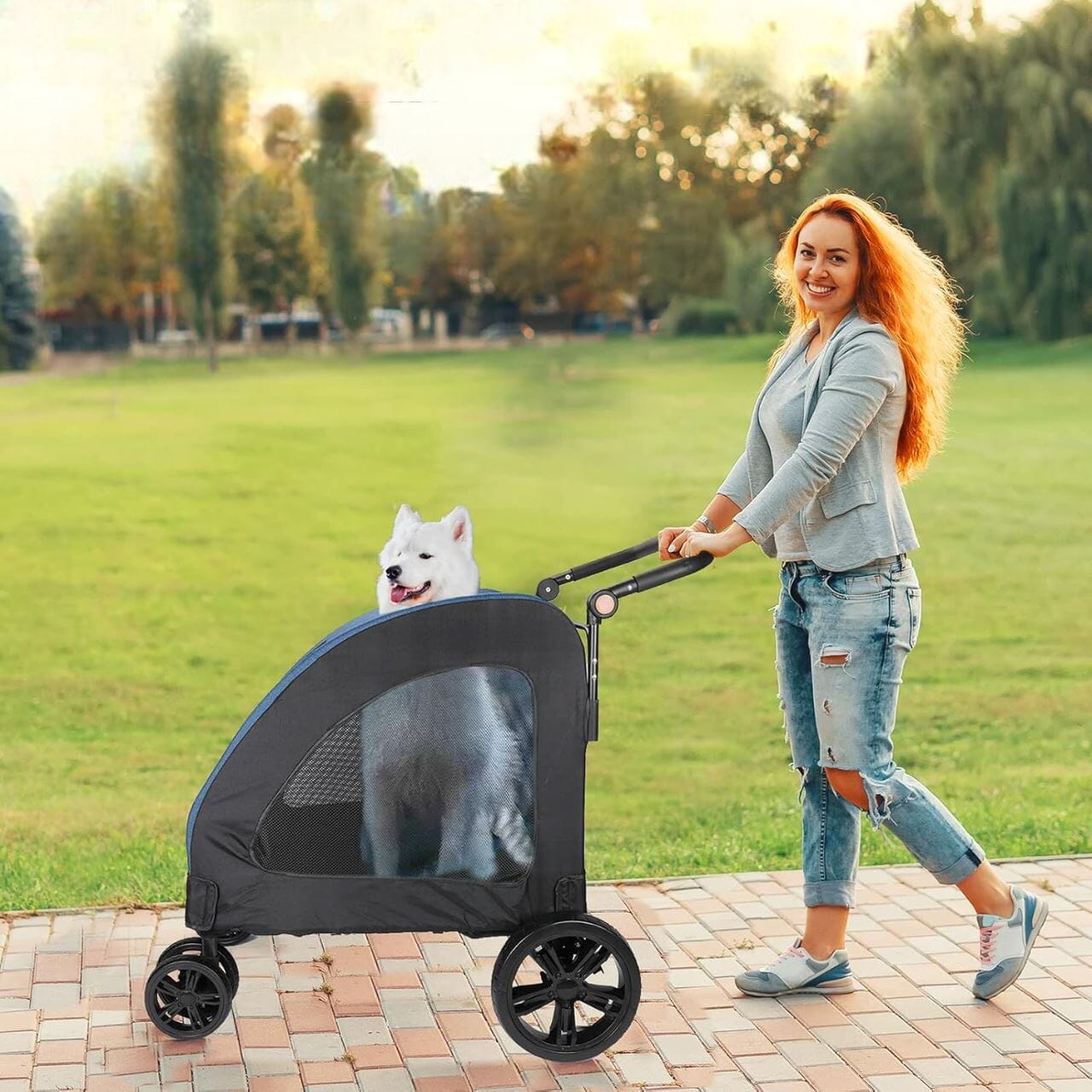 Poussette pour Chien - StrollyPet™ - Bleu - Le Chihuahua Voyageur