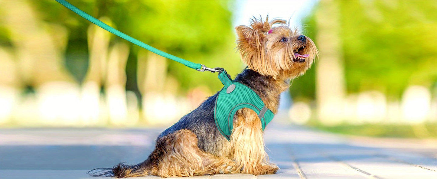 Laisse pour chien- Joytale Reflective Laisse- Harnais
