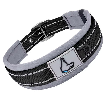Collier pour chien-Réfléchissant Joytale