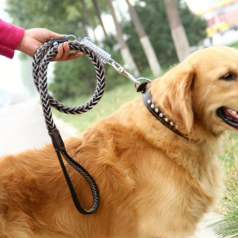 Laisse pour chien- Strong Cowhide Dog Leash and Collar