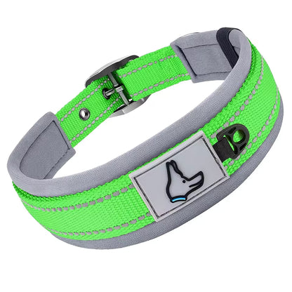 Collier pour chien-Réfléchissant Joytale