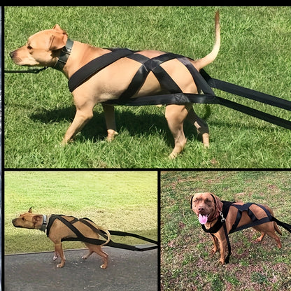 Harnais chien decathlon- Dog Traction Training