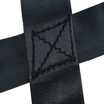 Harnais chien decathlon- Dog Traction Training