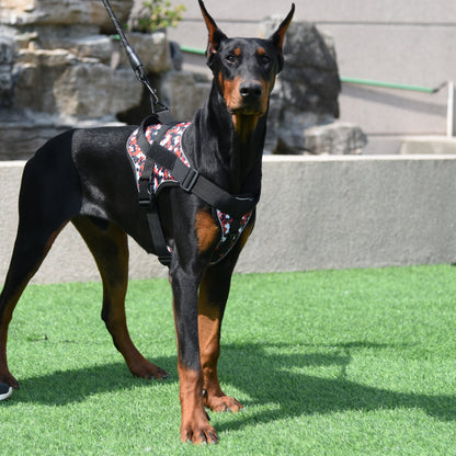 Harnais anti traction chien- Training Tactical.