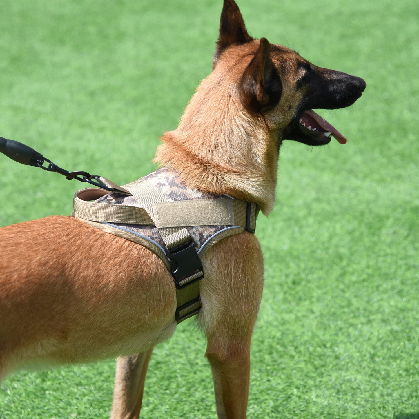 Harnais anti traction chien- Training Tactical.