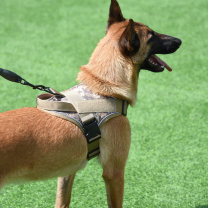 Harnais anti traction chien- Training Tactical.