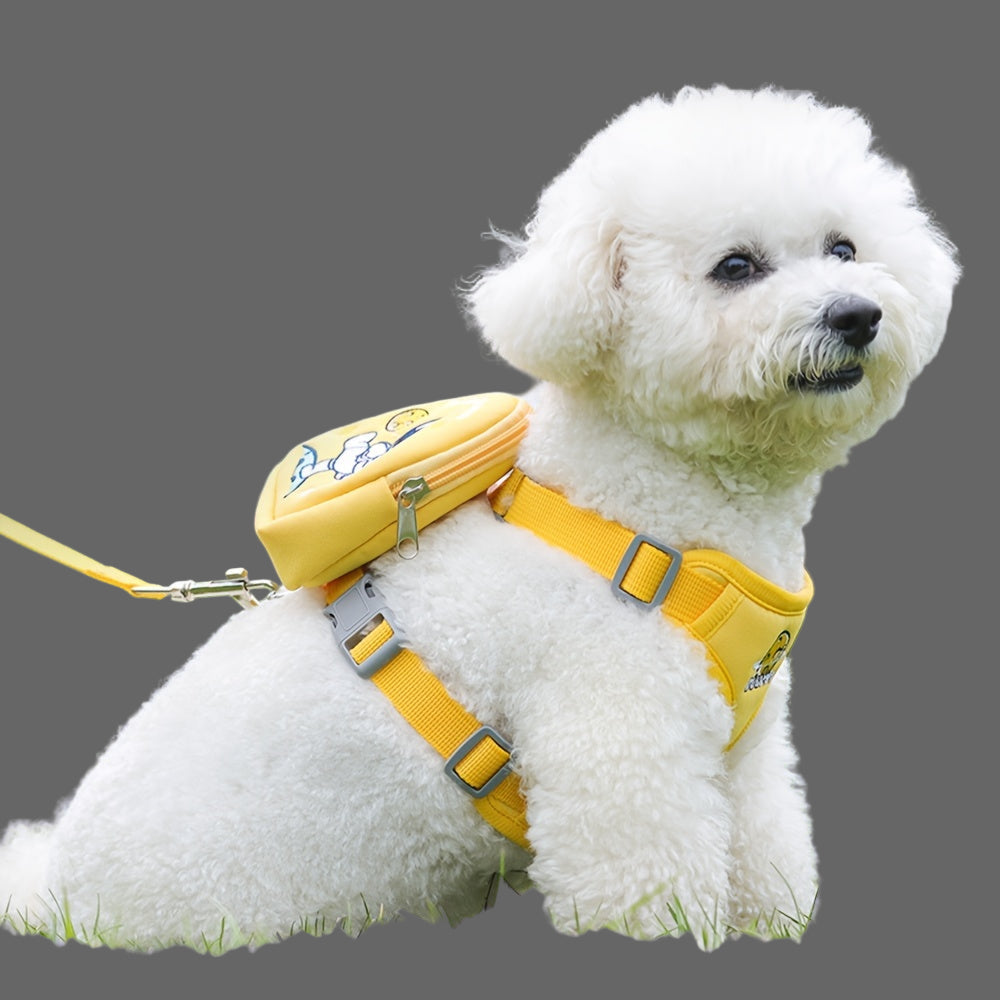 Laisse pour chien - Football in Space