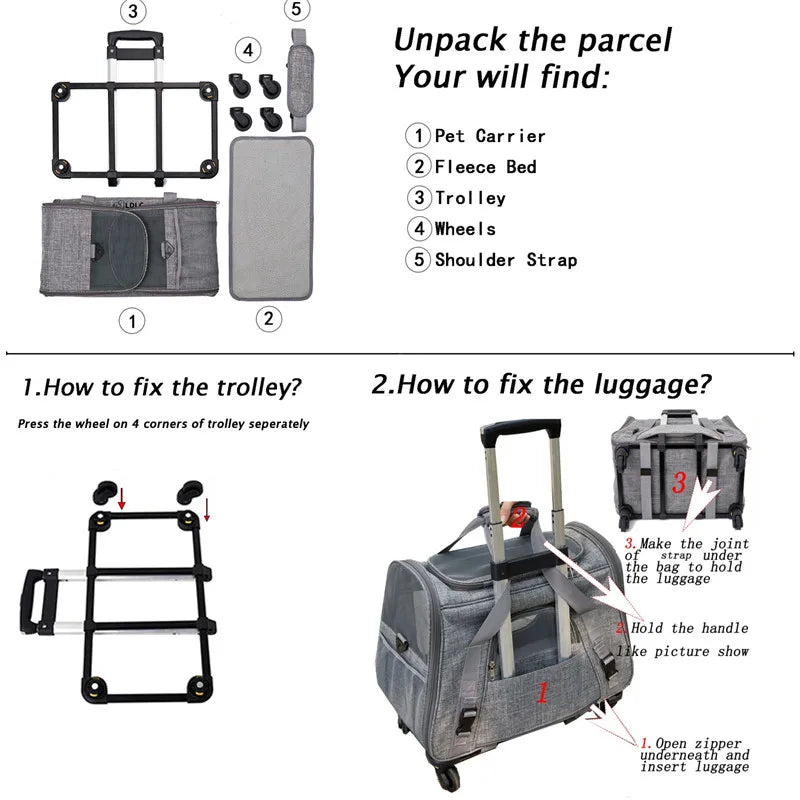 Caisse de transport chien- 3 in 1 Portable