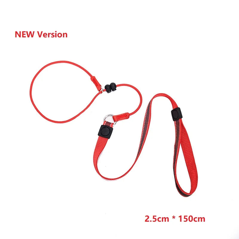 Laisse pour chien JANPET Choking Rope