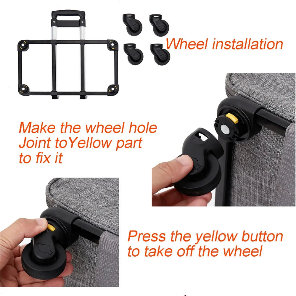 Caisse de transport chien- 3 in 1 Portable