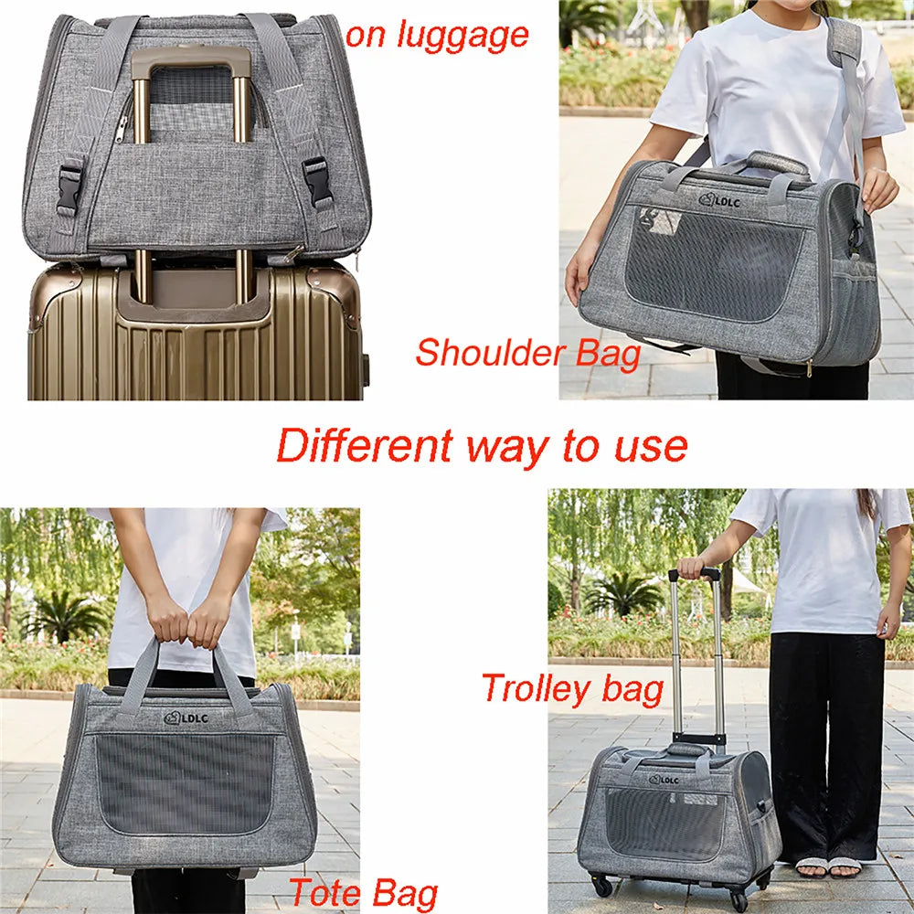 Caisse de transport chien- 3 in 1 Portable