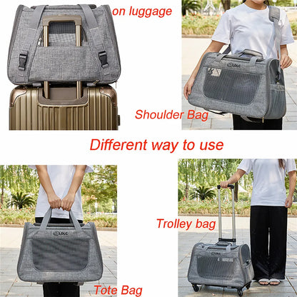Caisse de transport chien- 3 in 1 Portable