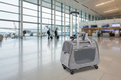 Caisse de transport chien- 3 in 1 Portable