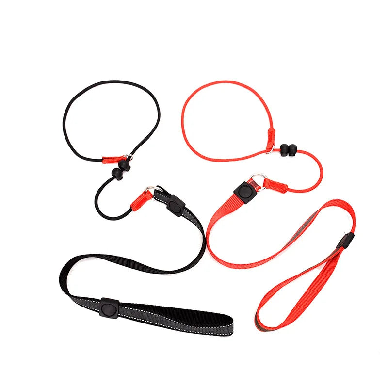 Laisse pour chien JANPET Choking Rope