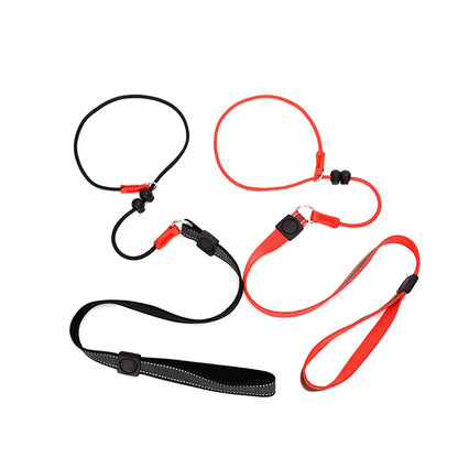 Laisse pour chien JANPET Choking Rope