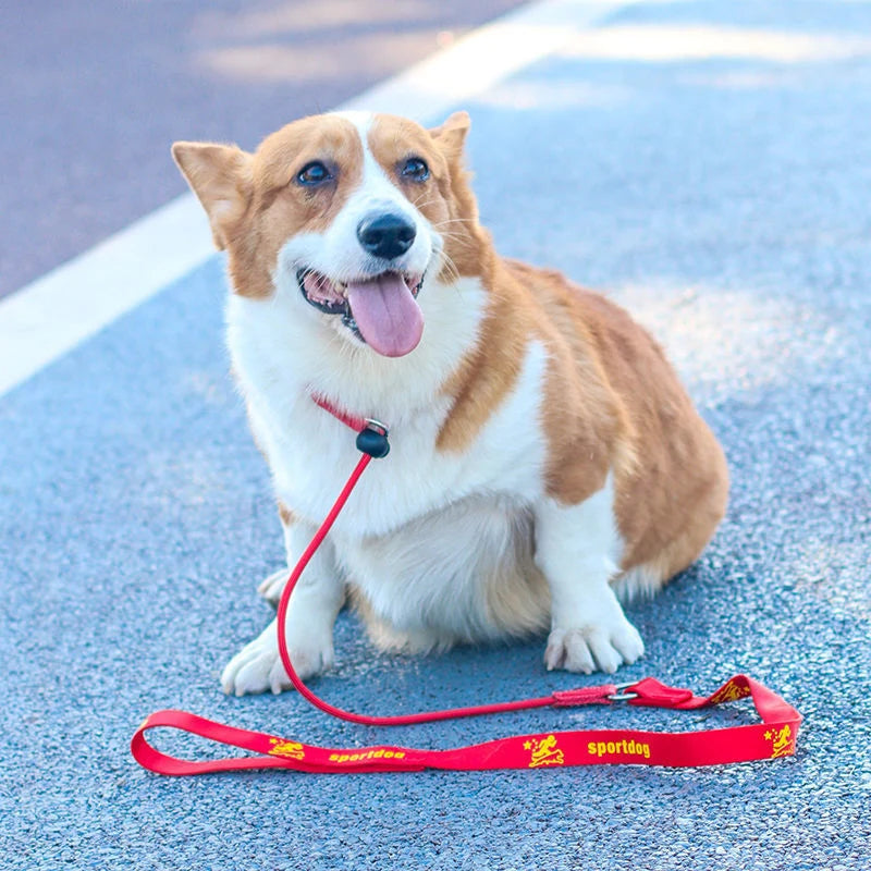 Laisse pour chien JANPET Choking Rope