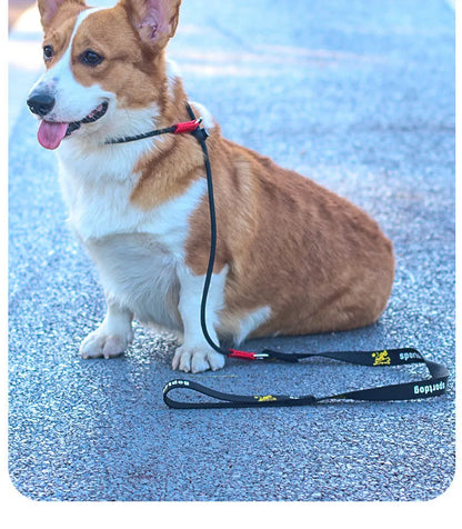 Laisse pour chien JANPET Choking Rope